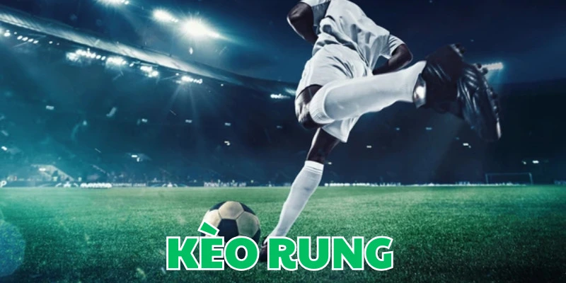 Sơ bộ thông tin về kèo rung dễ hiểu